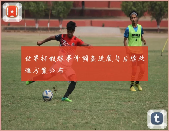 世界杯假球事件调查进展与后续处理方案公布