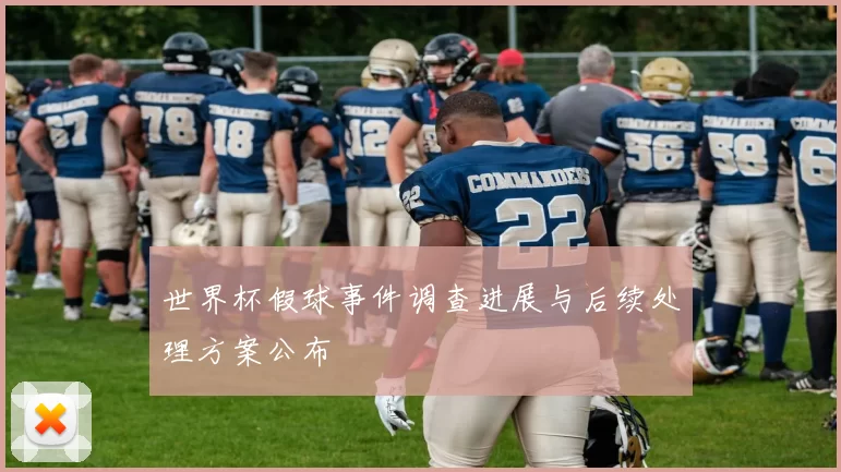 世界杯假球事件调查进展与后续处理方案公布