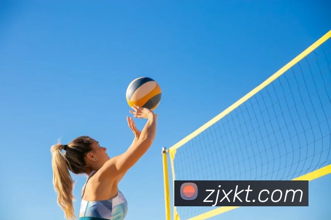 mksports登录入口服务体系